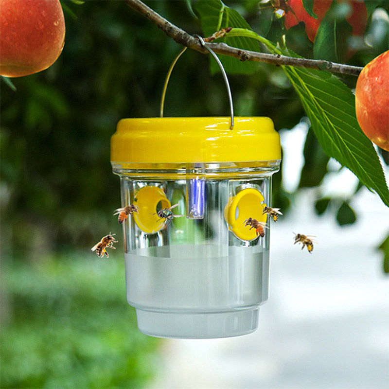Outdoor Lighting Under Pergola - Perangkap Lalat Buah Tenaga Surya untuk