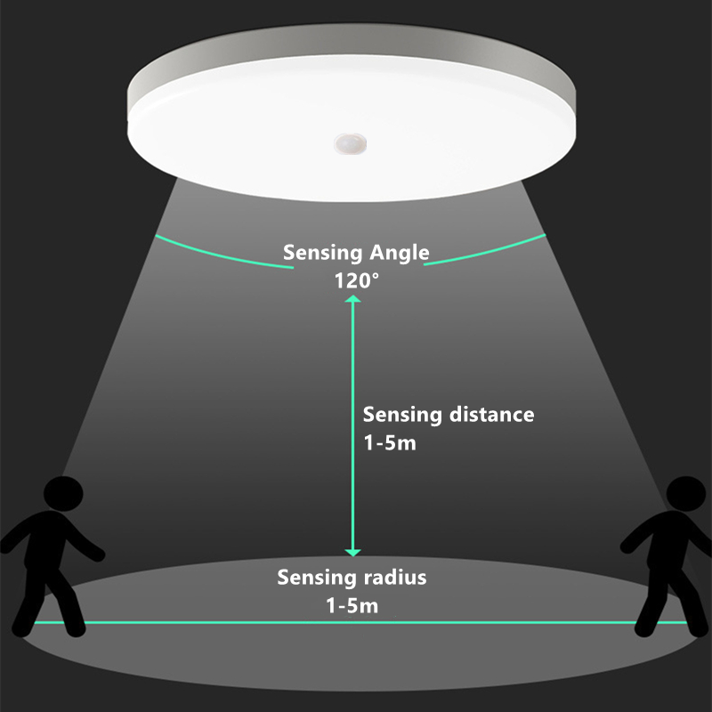 Lampu langit-langit LED tahan  - Outdoor Lighting Under Roof ulasan dan harga